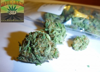 Denver Retail Marijuana Experience - #1